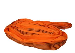 ESER10_0